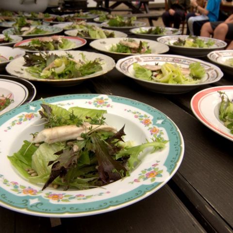 68402282 1866571476778524 5813324830266621952 o