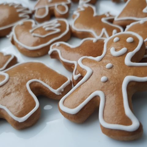 117124510 2607536006015397 3084190119738674644 o