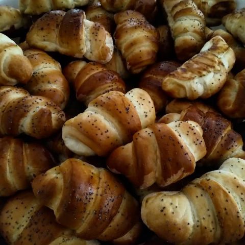 117857490 2641077152661282 8398224556868446816 o